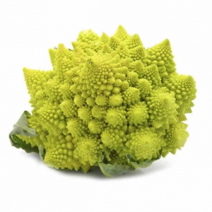 VERDURAS Y HORTALIZAS EX&Oacute;TICAS